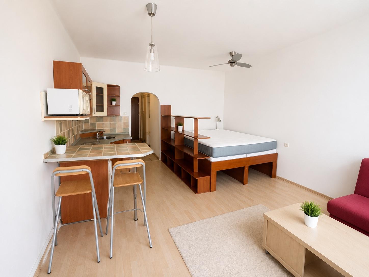 Slunné 1+kk, po rekonstrukci, 30 m2, Pod Strojírnami, Praha 9